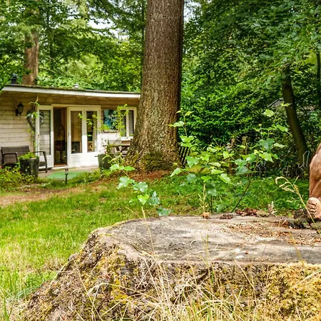 1 Bedroom Stunning In *
